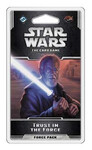 SW LCG:  Trust in the Force